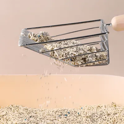 Pelle à litière pour chat, base à long manche