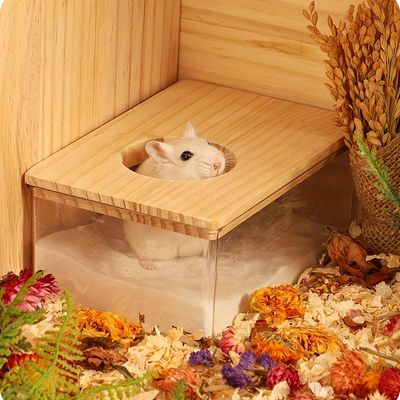 Bac à sable pour hamster