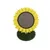 Griffoir Sunflower Tournesol pour Chat