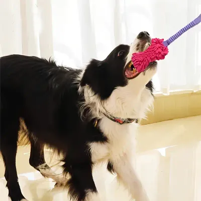 Jouet à mâcher en corde résistante aux déchirures pour chien