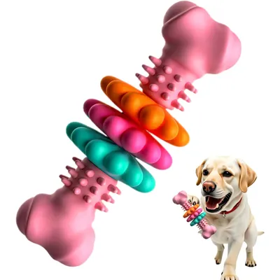 Jouet interactif pour chiots pour la dentition