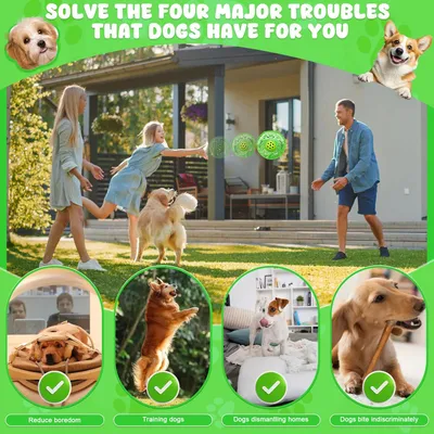 Frisbee pour chien, avec mangeoire lente