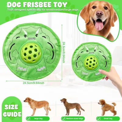 Frisbee pour chien, avec mangeoire lente