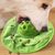 Frisbee pour chien, avec mangeoire lente