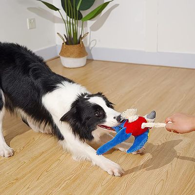 Jouets sonores en peluche pour animaux, perroquet
