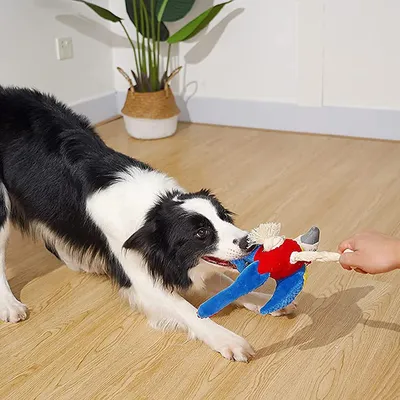 Jouets sonores en peluche pour animaux, perroquet