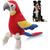 Jouets sonores en peluche pour animaux, perroquet