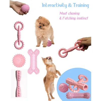 Jouet à mâcher interactif pour chien