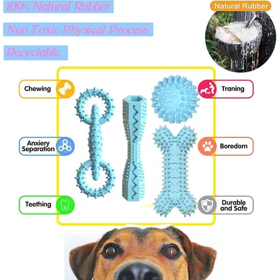 Jouet à mâcher interactif pour chien