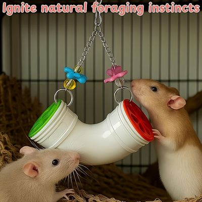 Jouet accessoire pour cage de recherche de nourriture pour hamster