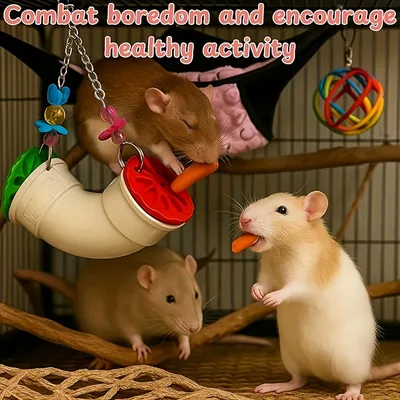 Jouet accessoire pour cage de recherche de nourriture pour hamster