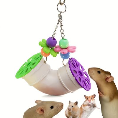 Jouet accessoire pour cage de recherche de nourriture pour hamster