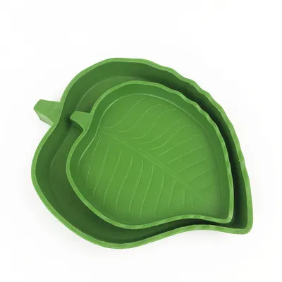 Bol d'eau et de nourriture pour reptiles