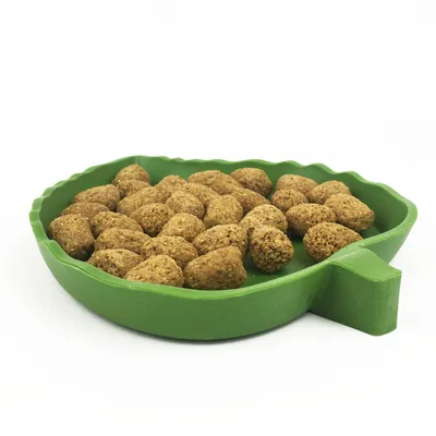 Bol d'eau et de nourriture pour reptiles