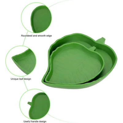 Bol d'eau et de nourriture pour reptiles