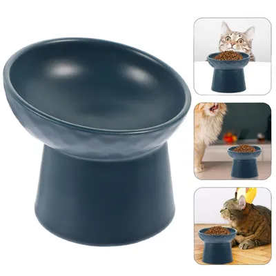 Gamelle surélevée anti-basculement en céramique pour chat