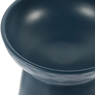 Gamelle surélevée anti-basculement en céramique pour chat