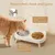Ensemble de bols surélevés pour nourriture et eau pour chat
