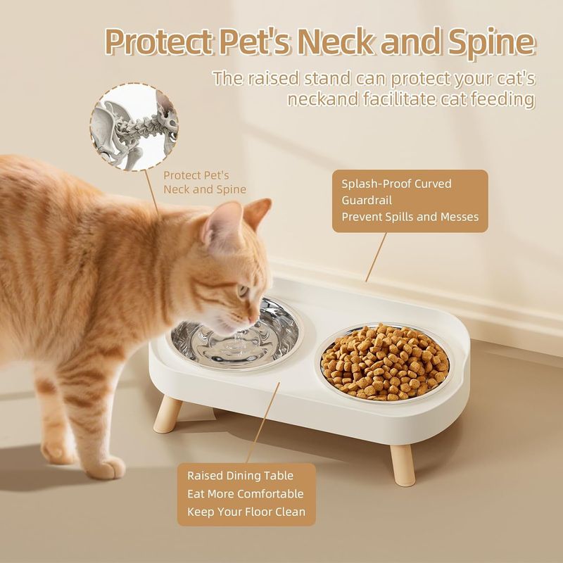 Ensemble de bols surélevés pour nourriture et eau pour chat