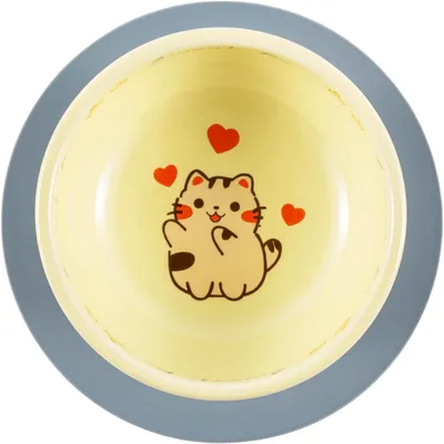 Gamelle Pieds hauts surélevée en céramique pour chat