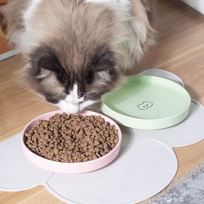 Gamelle ronde pour chat, bol large et peu profond