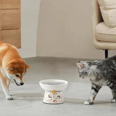 Gamelle inclinée surélevée en céramique pour chat (Chat de dessin animé)