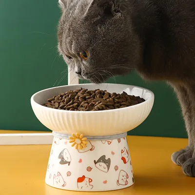 Gamelle inclinée surélevée en céramique pour chat (Chat de dessin animé)