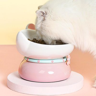 Gamelle en céramique pour chat - Anti-vomissements
