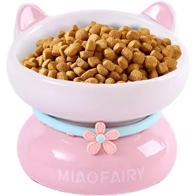 Gamelle en céramique pour chat - Anti-vomissements