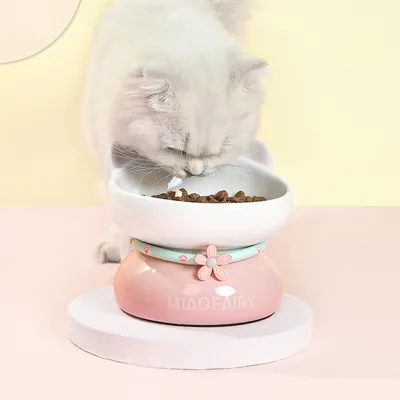 Gamelle en céramique pour chat - Anti-vomissements