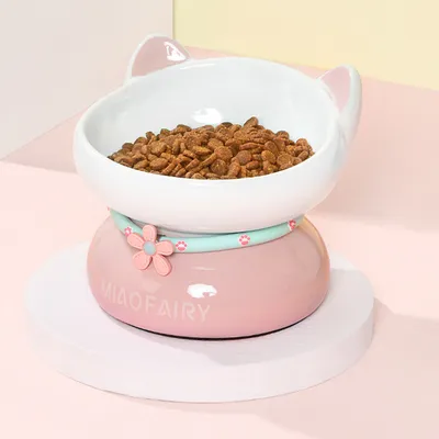 Gamelle en céramique pour chat - Anti-vomissements