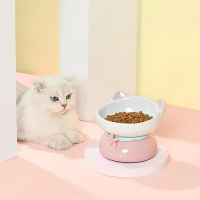 Gamelle en céramique pour chat - Anti-vomissements