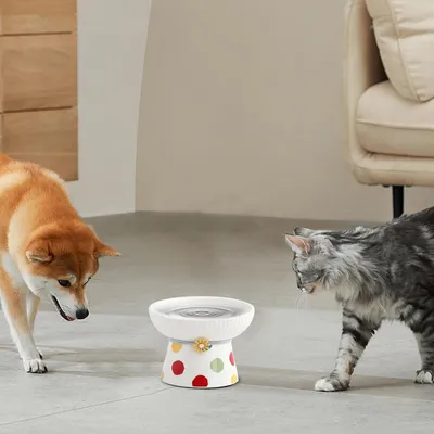 Gamelle inclinée surélevée en céramique pour chat (Pois colorés)