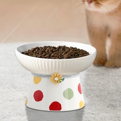 Gamelle inclinée surélevée en céramique pour chat (Pois colorés)