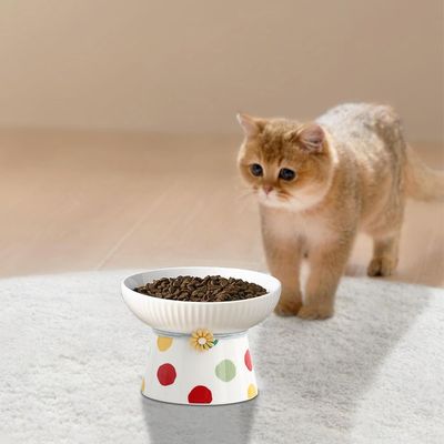 UAMLY Cuenco de cerámica elevado e inclinado para gatos (lunares colores)