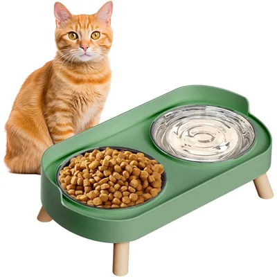 Ensemble de bols surélevés pour nourriture et eau pour chat