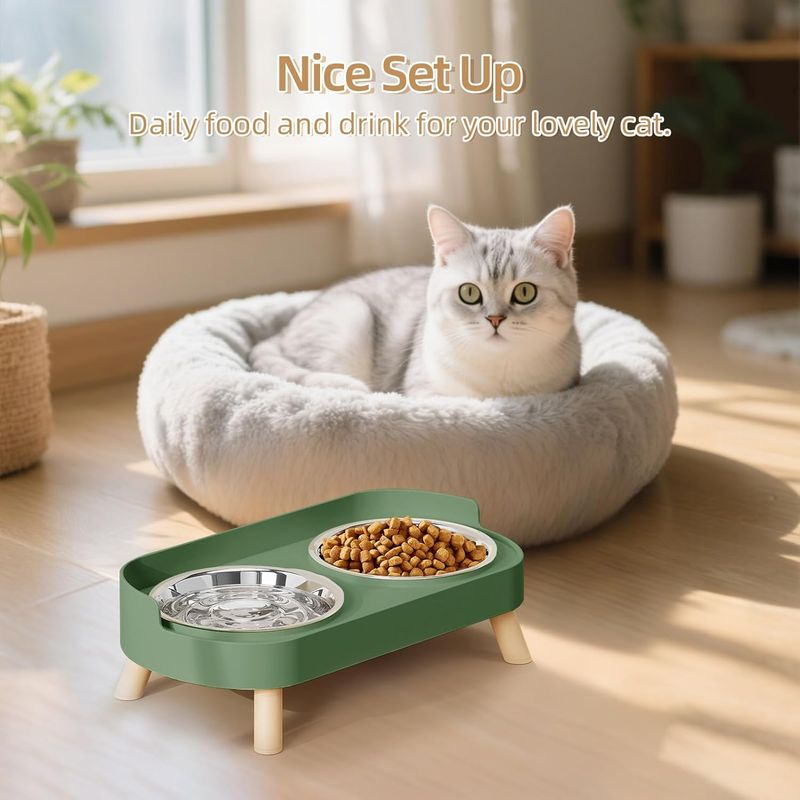 Ensemble de bols surélevés pour nourriture et eau pour chat
