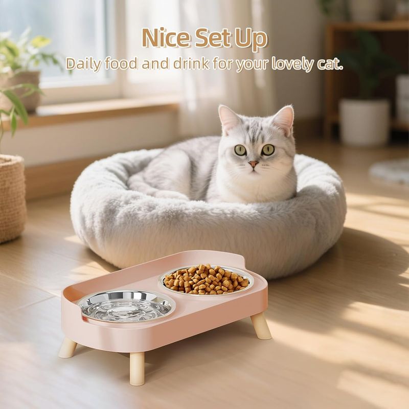 Ensemble de bols surélevés pour nourriture et eau pour chat