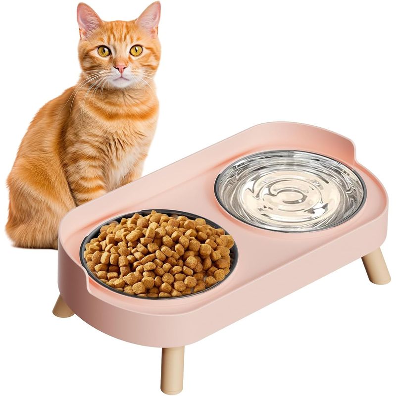 Ensemble de bols surélevés pour nourriture et eau pour chat