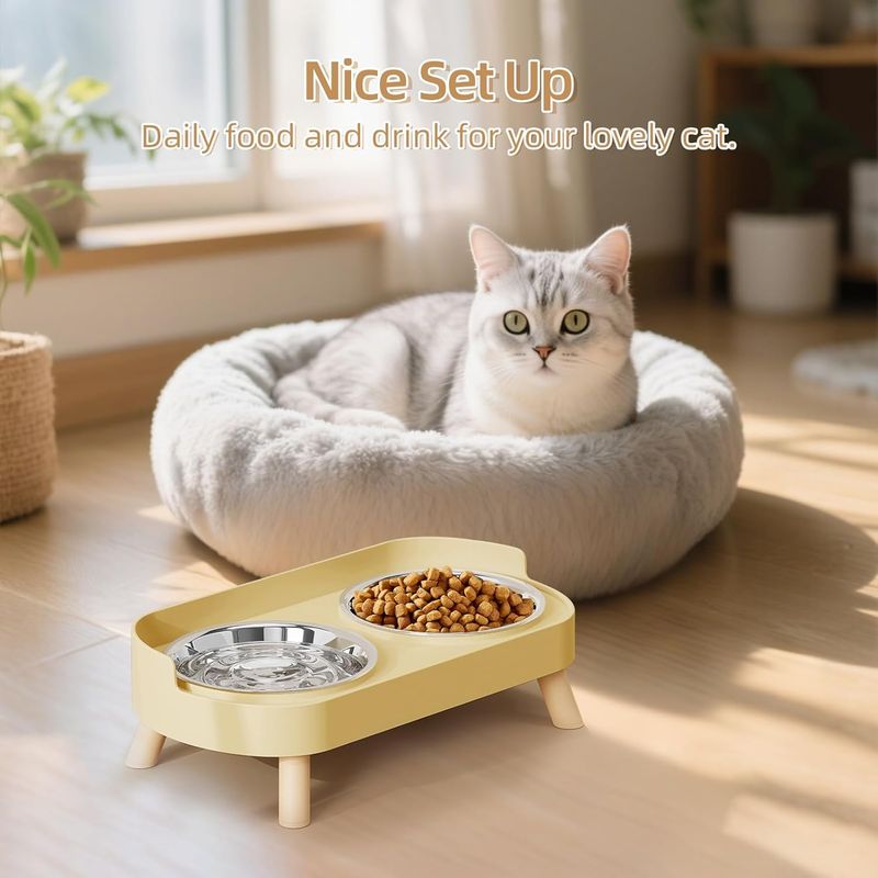 Ensemble de bols surélevés pour nourriture et eau pour chat