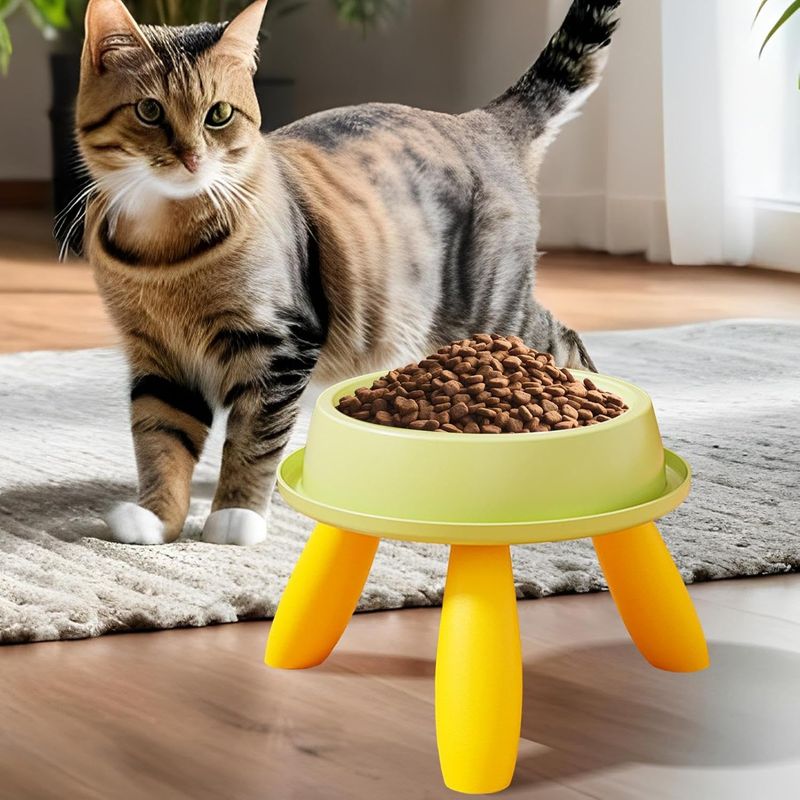 Gamelle surélevée pour animaux de compagnie