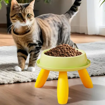 Gamelle surélevée pour animaux de compagnie