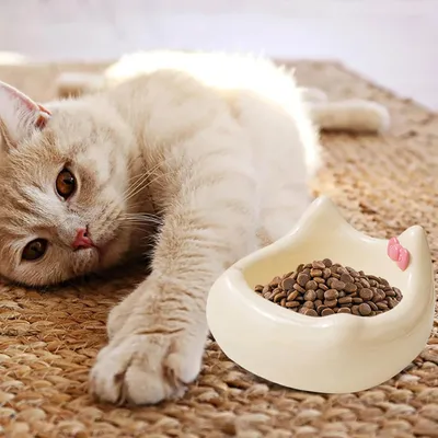 Gamelle en céramique pour chat - Motif tête de chat avec nœud