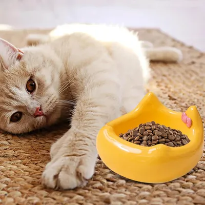 Gamelle en céramique pour chat - Motif tête de chat avec nœud