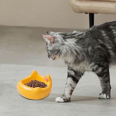 UAMLY Cuenco de cerámica para gatos - Diseño de cabeza de gato con lazo