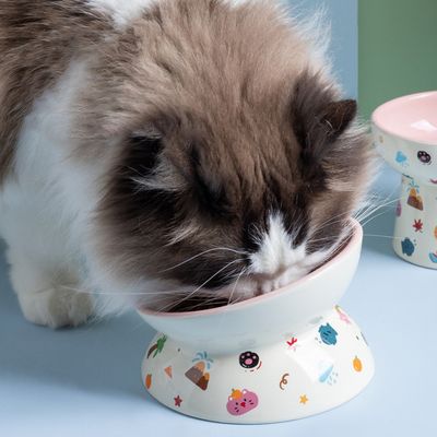 UAMLY Anti-Erbrechen-Katzennapf
