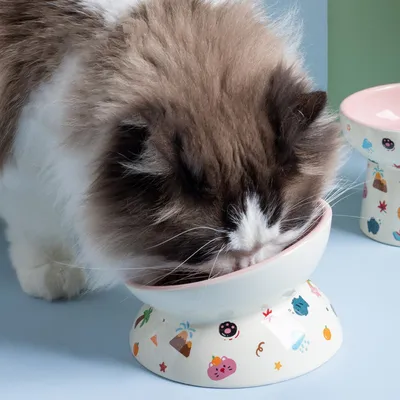 Gamelle anti-vomissements pour chat