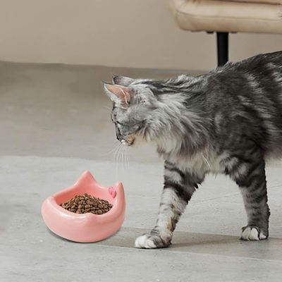 UAMLY Cuenco de cerámica para gatos - Diseño de cabeza de gato con lazo