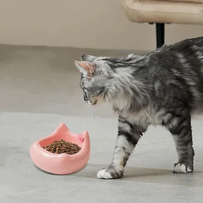 Gamelle en céramique pour chat - Motif tête de chat avec nœud