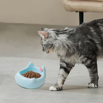 Gamelle en céramique pour chat - Motif tête de chat avec nœud